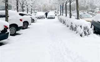 南方人千万别学！男孩去东北吃几口雪：发烧烧到39.1度 ！