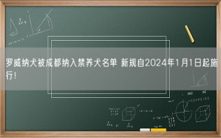 罗威纳犬被成都纳入禁养犬名单 新规自2024年1月1日起施行！