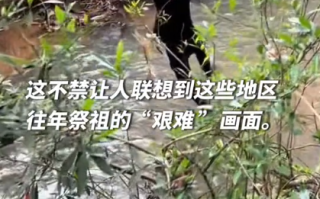 华南F3又开始拜山祭祖了：网友纷纷晒出祭祖视频!