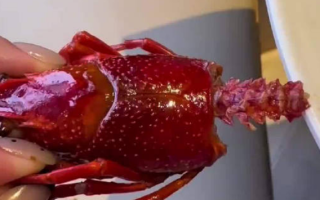 100块钱的龙虾90块钱的壳 中看不中用！