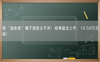 把“油老虎”帽子甩进太平洋！哈弗猛龙上市：16.58万元起！