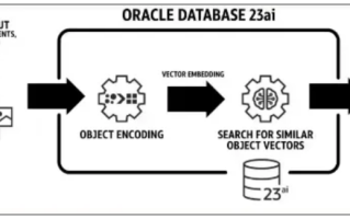 Oracle Database 23ai正式发布！近50年历史数据库巨头迈入AI时代！