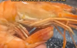 男子吐槽吃饭遇28元1只盐水虾刺客 商家：明码标价 有本事去举报！