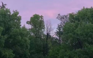 微博热搜第二！网友灵魂发问：这2天班非上不可吗？