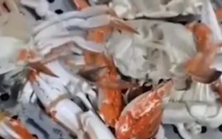 男子服务区被套路买30箱空壳螃蟹 只能煮熟晒干喂鸡！