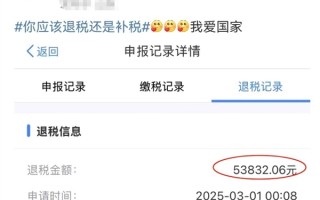 凌晨退税喜提5万多！网友直呼：3月第一份快乐！