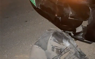 特斯拉撞死闯国道野猪：车主被判全责 行车记录仪视频曝光 !