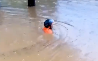 广东多地暴雨 积水没脖行人推车前行！