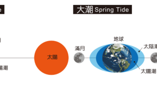 潮汐表中的大潮和小潮什么意思