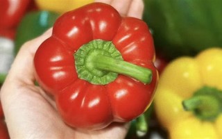 女子跟风女星生吃彩椒碗：结果感染钩虫！