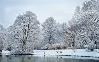我国已经进入拉尼娜状态 会导致冬天更冷吗？答案来了 !