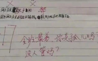 老师批作业写侮辱性评语?校方回应来了！