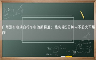 广州发布电动自行车电池新标准：热失控5分钟内不起火不爆炸!