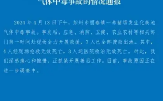 老板掉进化粪池6人施救不幸全遇难 当地村民回应！