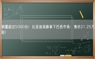 销量超过5000台！比亚迪海豚拿下巴西市场：售价21.25万起！