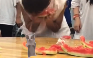 男子吃西瓜不吐籽引发阑尾炎 医生建议科学啃瓜！