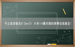 不止首发骁龙8 Gen3！小米14最关键的屏幕信息敲定！