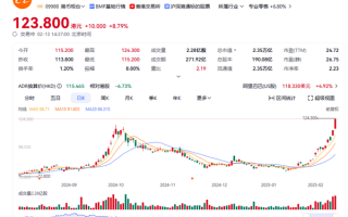 蔡崇信确认阿里与苹果合作：为国行iPhone提供AI服务！