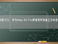 阿维塔CEO：华为Mate 60 Pro阿维塔特别版正在快速推进中！