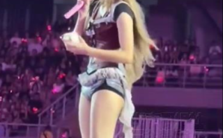 Lisa演唱会丢掉粉丝送的LABUBU 到底怎么回事