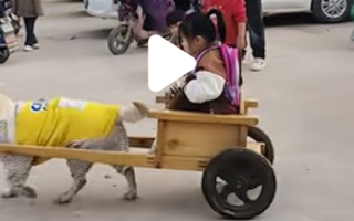 小孩界的劳斯莱斯出现了 网友:别说她同学羡慕了，连我都想上去坐坐！