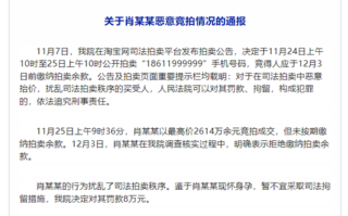 法院通报2614万恶意竞拍含6个9的手机靓号：罚款8万元！