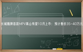 长城魏牌首款MPV高山有望10月上市：预计售价35-40万元！