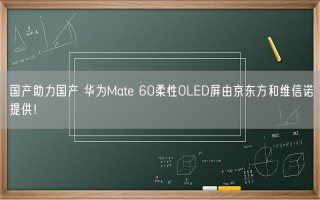 国产助力国产 华为Mate 60柔性OLED屏由京东方和维信诺提供！