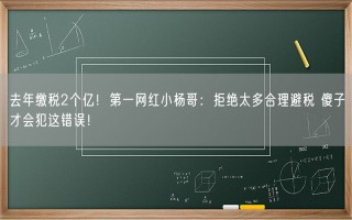 去年缴税2个亿！第一网红小杨哥：拒绝太多合理避税 傻子才会犯这错误！