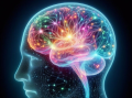 科学家实现光信号穿透完整人脑：深部成像设备研发获突破!