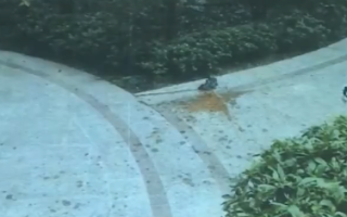 女子多次从10楼抛排泄物被拘役3个月 罚人民币两千元！