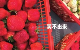 采摘刺客?三篮草莓卖1800元 商家回应称采摘前已讲好价格！