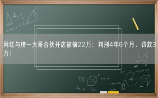 网红与榜一大哥合伙开店被骗22万：判刑4年6个月、罚款3万！