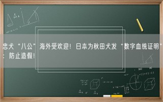 忠犬“八公”海外受欢迎！日本为秋田犬发“数字血统证明”：防止造假！