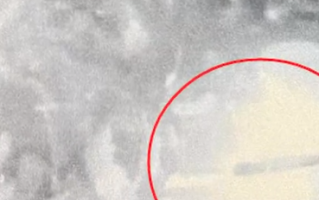 男子与邻居争吵 扔菜刀险砸死过路人 被采取刑事强制措施！