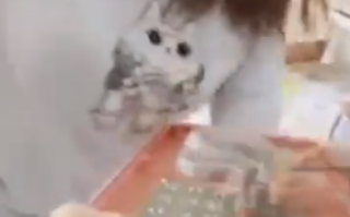 黑心电子秤竟有“遥控版” 遥控器有的被做成车钥匙造型！