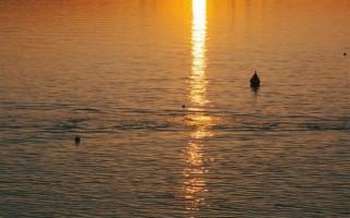 “黄河之水天上来”具象化了：网友拍到黄河绝美画面 ！