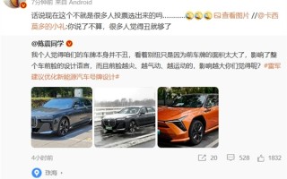 雷军建议优化新能源汽车号牌设计 陈震：车牌本身并不丑 只是面积太大了！