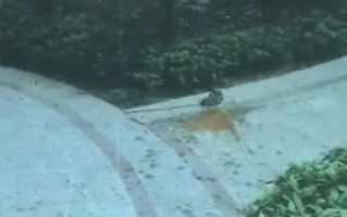 女子嫌厕所热从阳台抛排泄物 法院：具有一定伤害性且极为恶心！