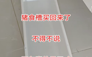 女子花几十块买猪食槽收纳孩子玩具:不照常理出牌更好用! 女子花几十块买猪食槽收纳孩子玩具:不照常理出牌更好用!