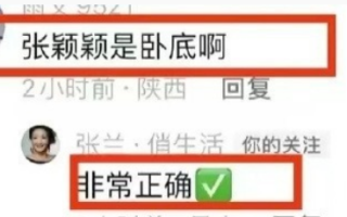 张颖颖称将起诉张兰：惹到我，是踢到钢板了！