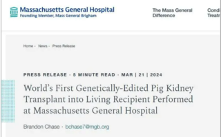 世界首例猪肾成功移植到活人体内：很快就能出院！