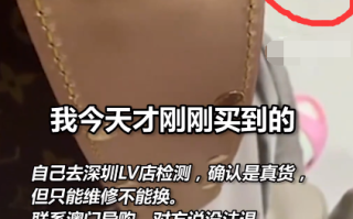LV回应新包背5小时铆钉掉落：可以换货！