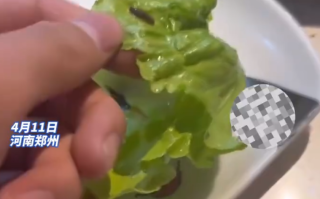 惊呆了！就餐时吃出虫子还被店员怒怼: 有虫子才新鲜！