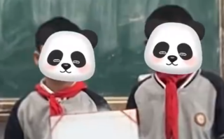 小学生多看了两眼帮铲除339株罂粟 派出所到学校现场颁发奖状！