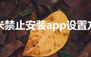 小米禁止安装app设置方法（小米手机禁止安装app方法）