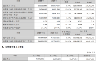 一天净赚1.38亿元！宁德时代2024全年净利润破500亿：超国内所有车企!