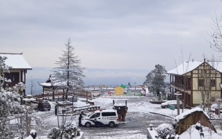 四川蒙顶山景区“一夜白头”：古树都已换上银装!