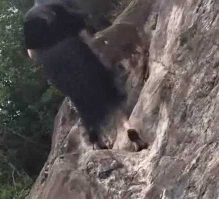 女子穿7厘米高跟鞋“像岩羊一样”爬山引热议 回应:常爬此山 光脚下山!-第1张图片 女子穿7厘米高跟鞋“像岩羊一样”爬山引热议 回应:常爬此山 光脚下山!-第1张图片